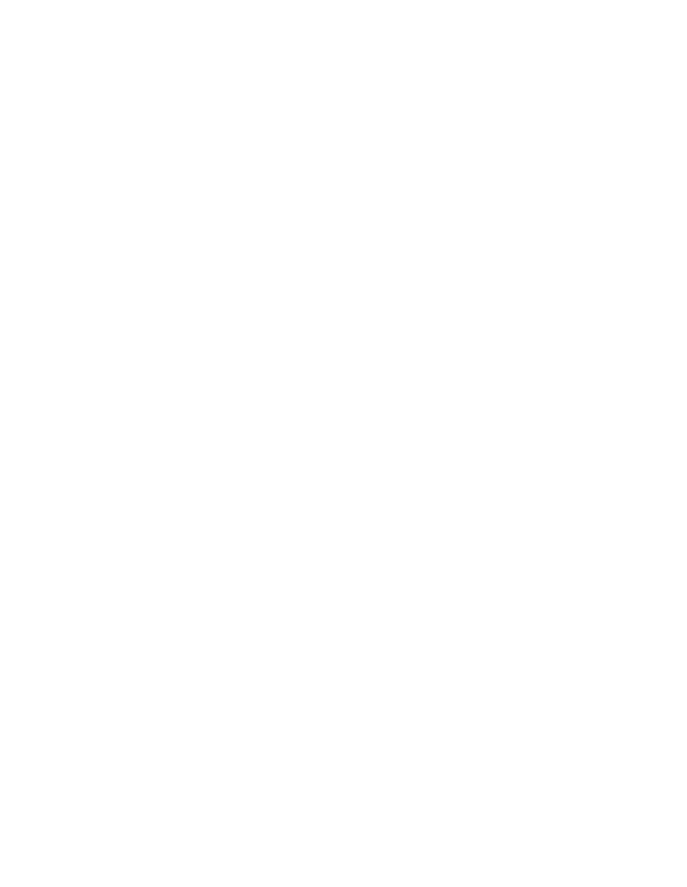 The Maze Agency